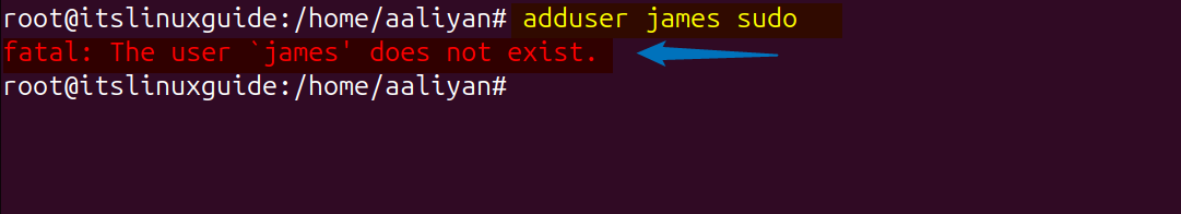 fatal error of user does not exist on adding a user to sudo group in Ubuntu