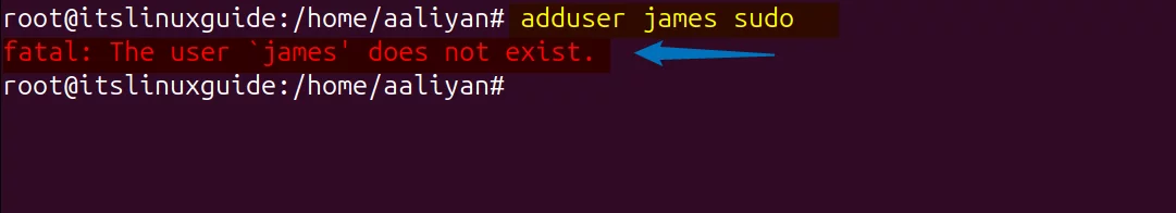 fatal error of user does not exist on adding a user to sudo group in Ubuntu 