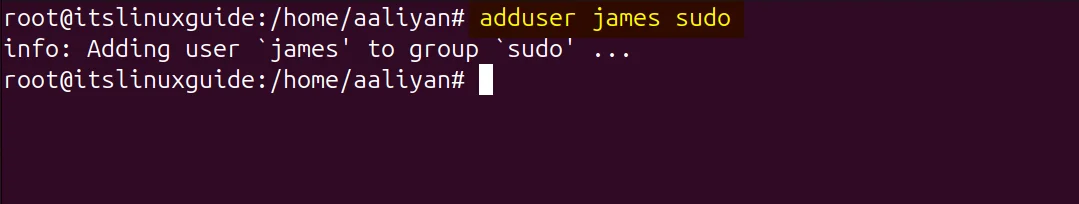 Adding user to sudo in Ubuntu after creating it by using the adduser command 