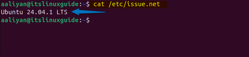 Reading issue.net file to get Ubuntu version by executing cat /etc/issue.net command