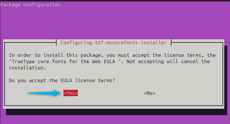 Accepting the EULA license terms for using WPS Office on Ubuntu