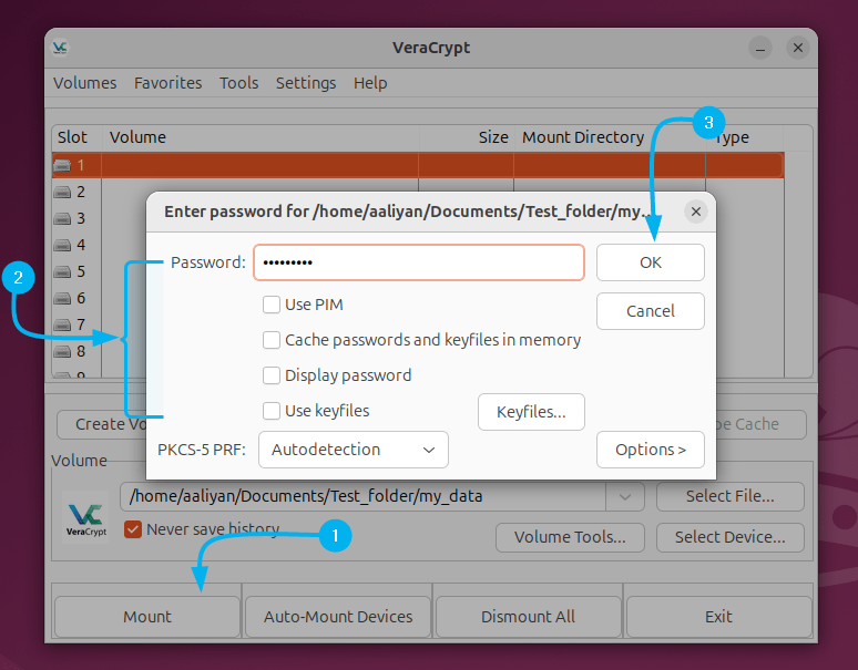 Mounting the encrypted drive on VeraCrypt in Ubutnu