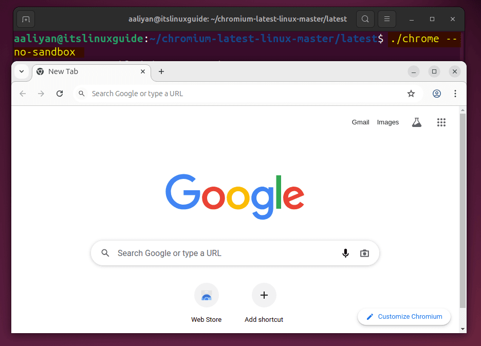 Launching chromium on Ubuntu via executing its script file