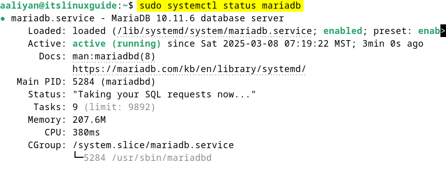 Checking status for MariaDB on Debian 