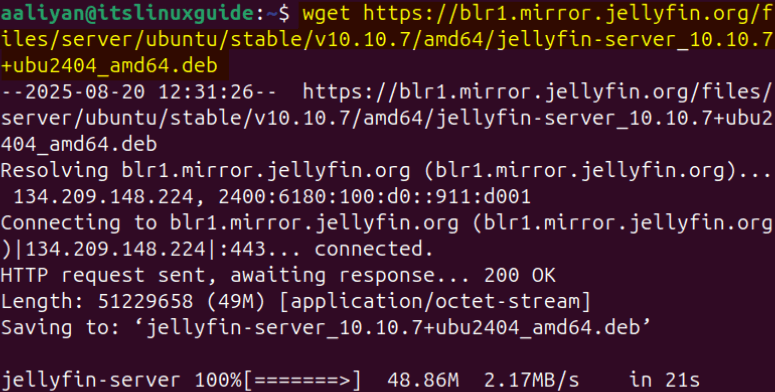 Downloading Jellyfin deb file via CLI site on Ubuntu