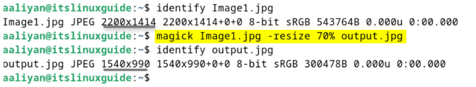 Resizing an Image in Debian using ImageMagick by percentage