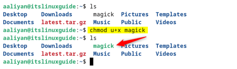 Changing ImageMagick AppImage file permissions to execute it on Debian