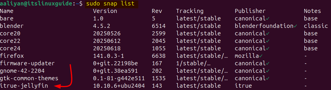 Listing snap installed apps on Ubuntu to verify Jellyfin installation on Ubuntu