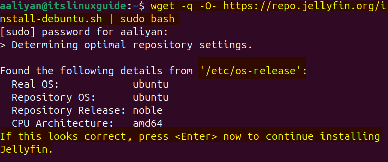 Installing Jellyfin on Ubuntu via its bash file