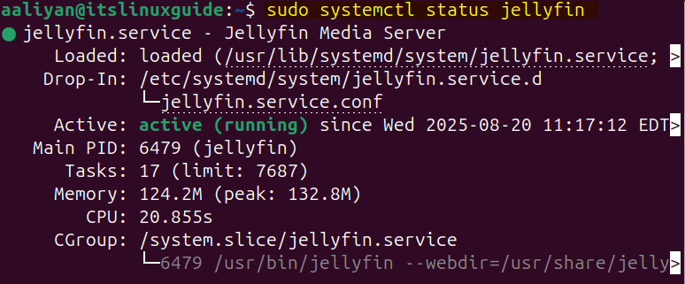 Checking Jellyfin service status on Ubuntu after installation via bash file