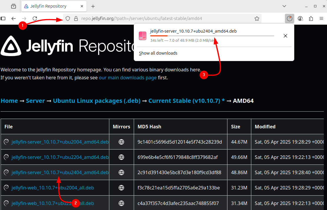 Downloading Jellyfin deb file via its official site on Ubuntu