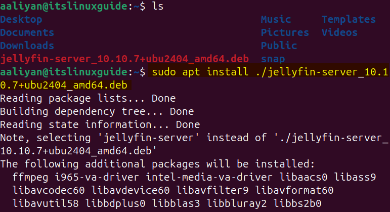 Installing Jellyfin on Ubuntu via its deb file