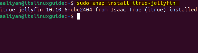 Installing Jellyfin on Ubuntu via snap store
