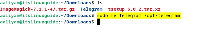 Moving extracted Telegram tar file to opt directory in Debian 