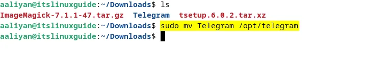 Moving extracted Telegram tar file to opt directory in Debian
