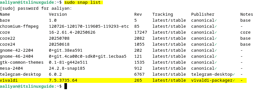 Listing snap installed apps to verify Vivaldi installation on Debian