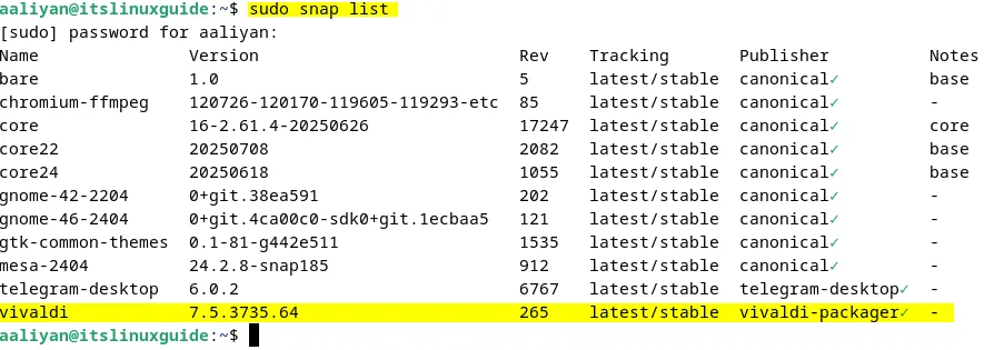 Listing snap installed apps to verify Vivaldi installation on Debian