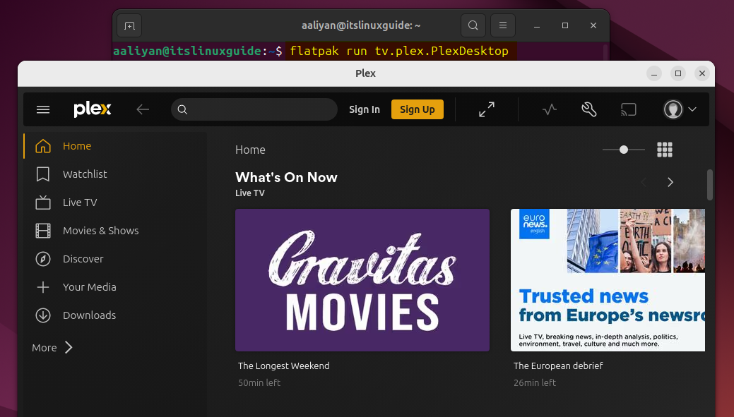 Launching Plex Media Server on Ubuntu installed via Flatpak