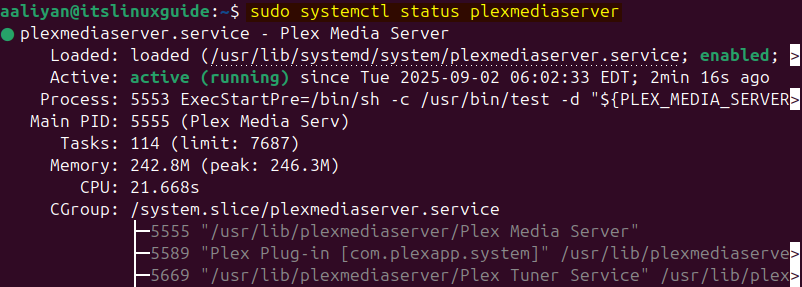 Checking Plex media server status on Ubuntu to verify its installation