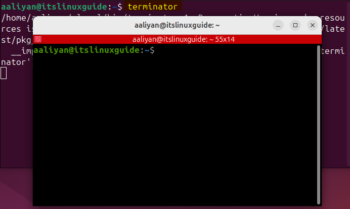 Launching Terminal on Ubuntu via terminal after installing it via its source file