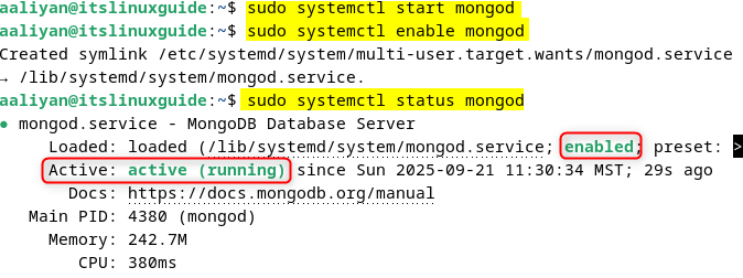 Activating and enabling MongoDB service on Debian