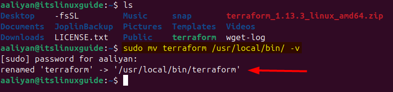 Moving Terraform extracted zip file to bin directory on Ubuntu
