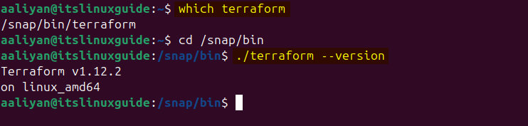 Verifying Terraform installation via snap stpre in Ubuntu