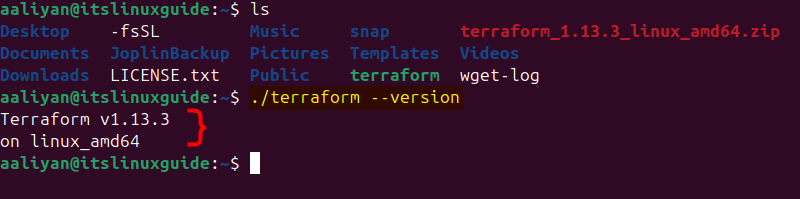 Checking Terraform version by executing its extracted file on Ubuntu