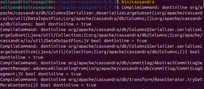 Launching Cassandra on Ubuntu via its source file