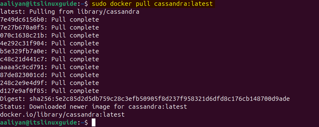 Installing Cassandra on Ubuntu via Docker Image